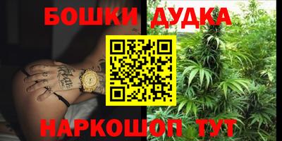 прущие грибы Будённовск
