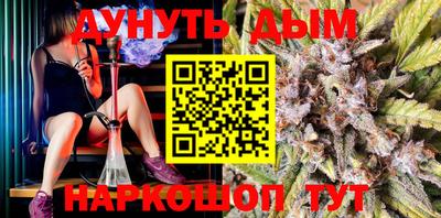 прущие грибы Будённовск