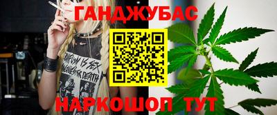 прущие грибы Будённовск
