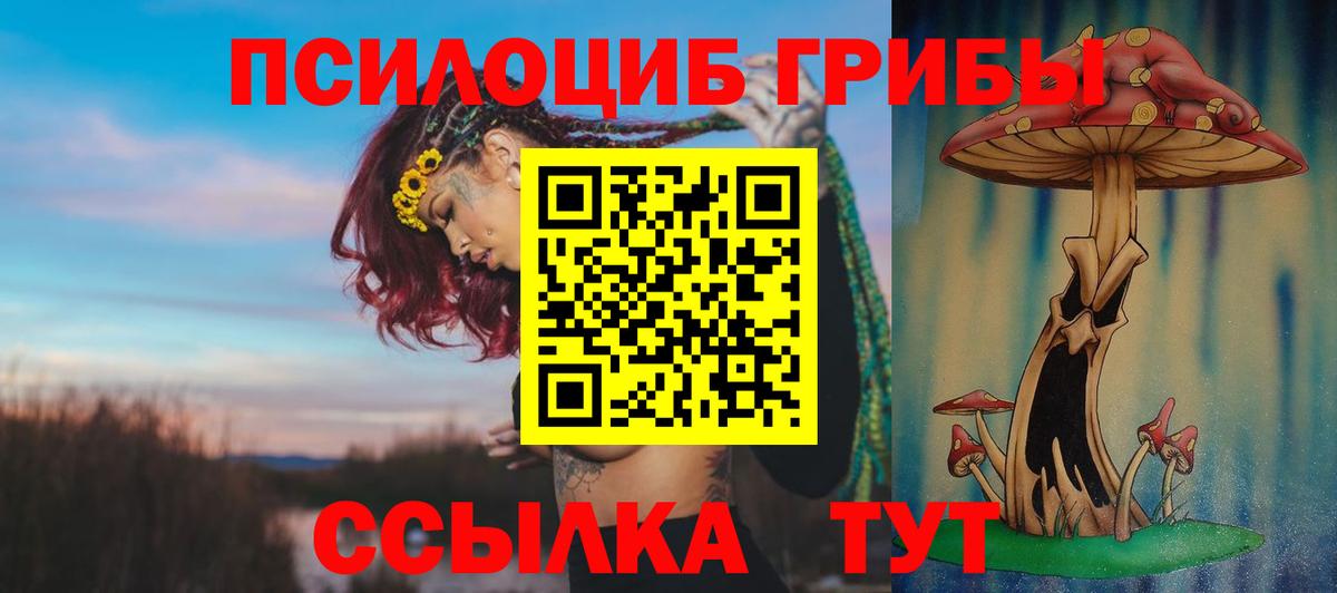 Псилоцибиновые грибы Magic Shrooms Серпухов